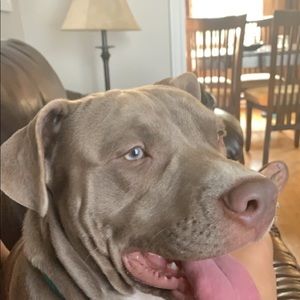 Meet your Posher, Chantel